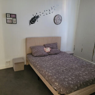 Appartement Tourcoing 3 pièce(s) 69.19 M2 loué 850€