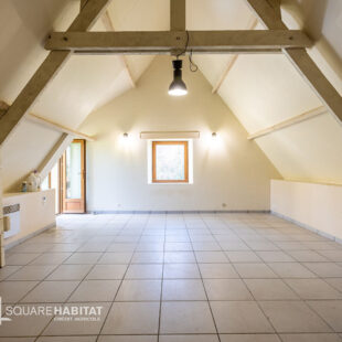 Maison Wierre Effroy 7 pièce(s) 244 m2