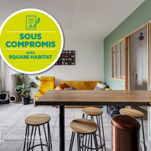Appartement Villeneuve D Ascq 2 pièce(s)  Sous compromis 