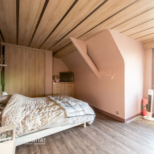 Maison Conde Sur L Escaut 8 pièce(s) 217 m2