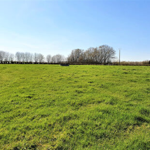 Terrain Bousies 1633 m2