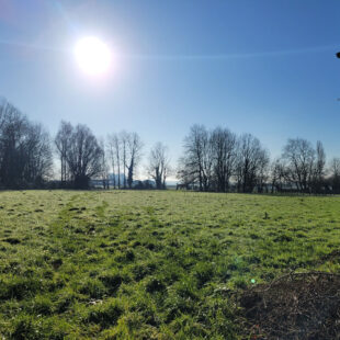 Grange à rénover 300m2 – secteur prisé de Caëstre