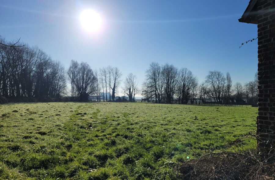 Grange à rénover 300m2 – secteur prisé de Caëstre