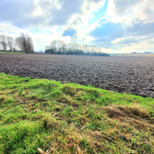 Ferme au carré sur Ennetieres En Weppes