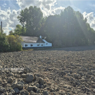 Maison  en campagne de Bourbourg