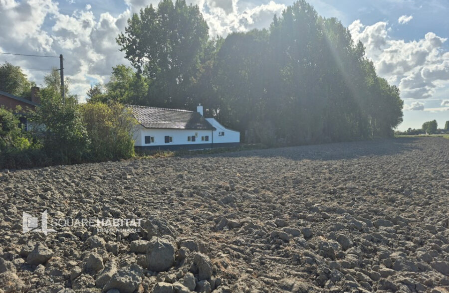 Maison  en campagne de Bourbourg