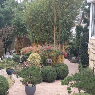 Maison Arras 9 pièce(s) 230 m2