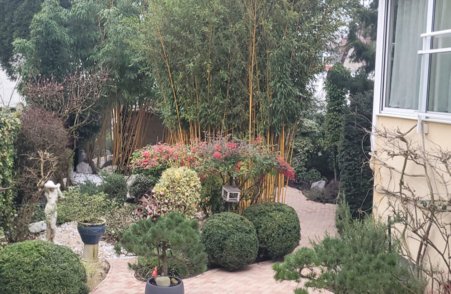 Maison Arras 9 pièce(s) 230 m2