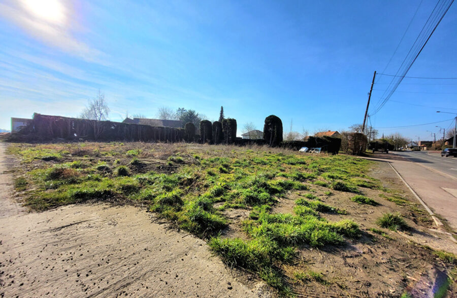 Terrain Herlies 610 m²