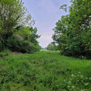 Terrain Barlin 12700 m2  Sous compromis 
