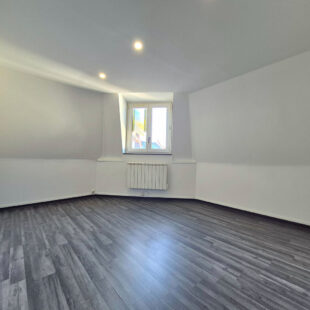 APPARTEMENT T2BIS RENOVE – IDEAL INVESTISSEUR OU PRIMO-ACCEDENT