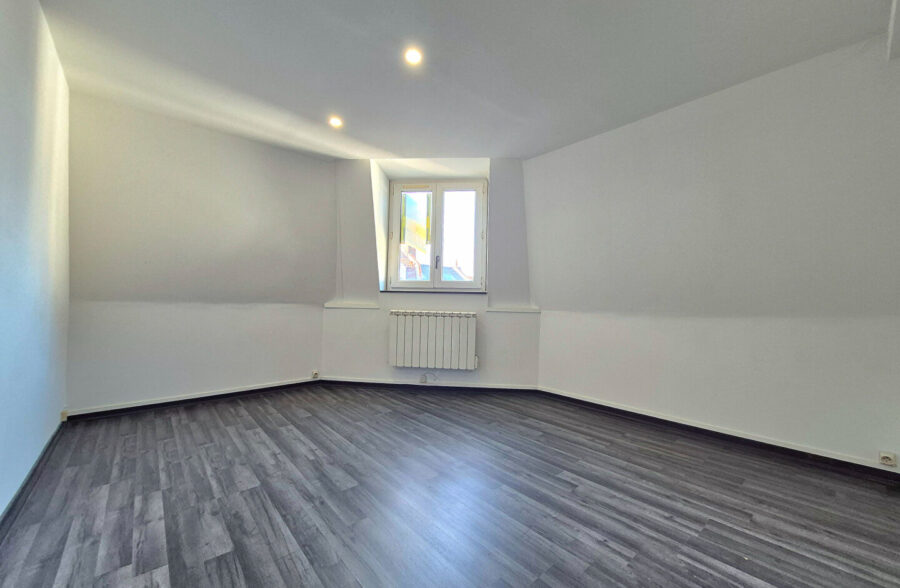 APPARTEMENT T2BIS RENOVE – IDEAL INVESTISSEUR OU PRIMO-ACCEDENT