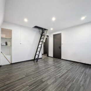 APPARTEMENT T2BIS RENOVE – IDEAL INVESTISSEUR OU PRIMO-ACCEDENT