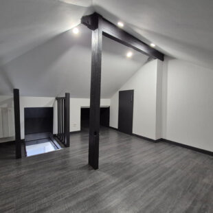 APPARTEMENT T2BIS RENOVE – IDEAL INVESTISSEUR OU PRIMO-ACCEDENT