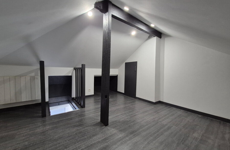APPARTEMENT T2BIS RENOVE – IDEAL INVESTISSEUR OU PRIMO-ACCEDENT
