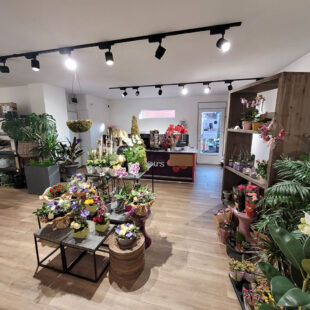 Local commercial avec fond de commerce