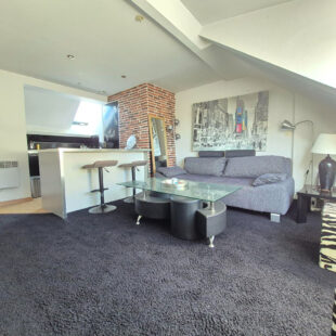 Studio meublé + chambre en mezzanine , vue latérale mer , 80M de la plage !!