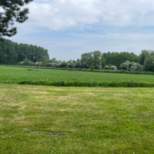 TERRAIN CONTRUCTIBLE 5800 M² ENVIRON