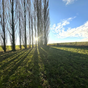 Nouveauté – Pavillon individuel 200m² proche de Cambrai