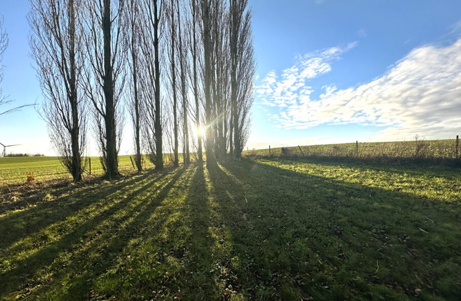 Nouveauté – Pavillon individuel 200m² proche de Cambrai