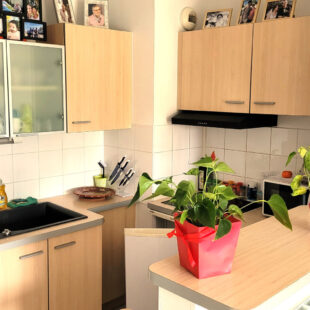 Appartement  2 pièce(s) 37 m2