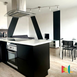 Appartement Villeneuve D Ascq 2 pièce(s)