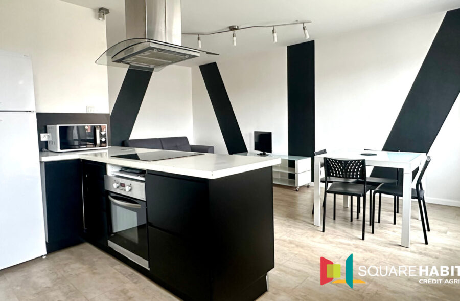 Appartement Villeneuve D Ascq 2 pièce(s)
