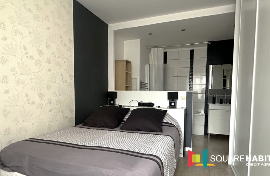 Appartement Villeneuve D Ascq 2 pièce(s)