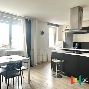 Appartement Villeneuve D Ascq 2 pièce(s)
