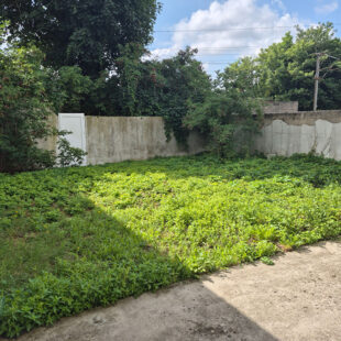 Immeuble 130m²
