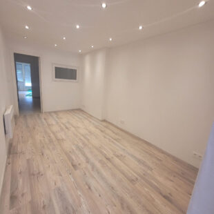 Locaux 45 m²