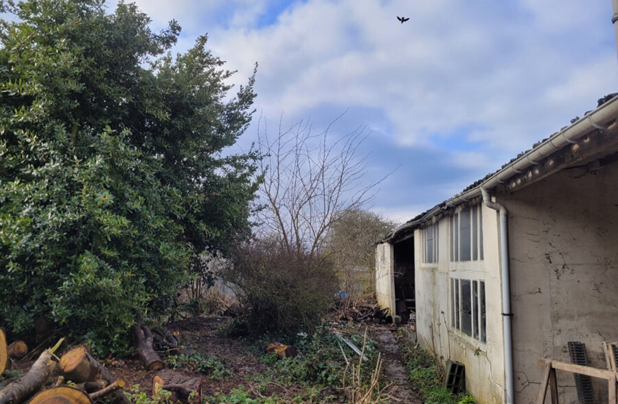 MAISON + HANGAR ET DEPENDANCES