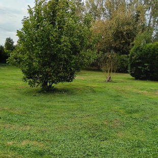 Corps de ferme