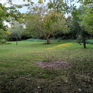 Corps de ferme