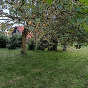 Corps de ferme
