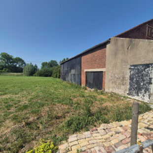 Hangar avec pature