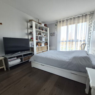 Appartement au bord de la Marque Marcq-En-Baroeul Bourg