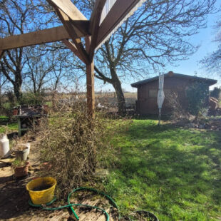 Maison Plain Pied Auchy Lez Orchies
