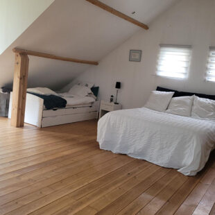 Maison  8 pièce(s) 320 m2