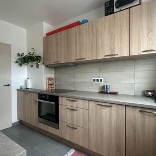 Appartement Villeneuve D Ascq 3 pièce(s) 65m2