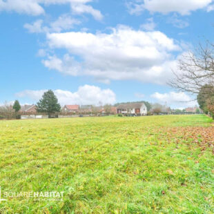 Terrain Vieux Conde 5118 m2