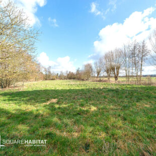 Maison individuelle Rieulay bâtie sur 4087m²