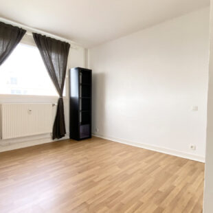 LILLE-CENTRE : APPARTEMENT 1 CHAMBRE DE 53.07 m2 AVEC CAVE