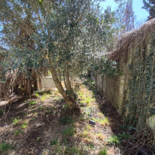 Maison Loos 4 pièce(s) 60 m2  Sous compromis 