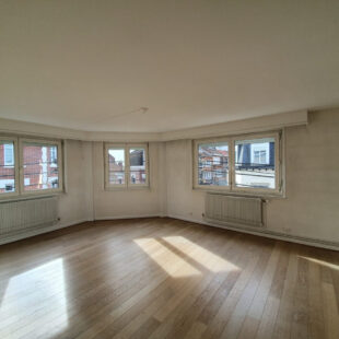 Appartement T5 en hyper centre ville