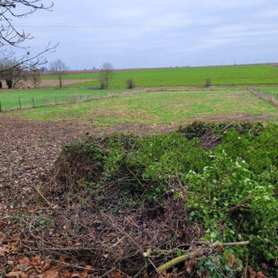 Maison Cattenieres 6 pièce(s) 135 m2