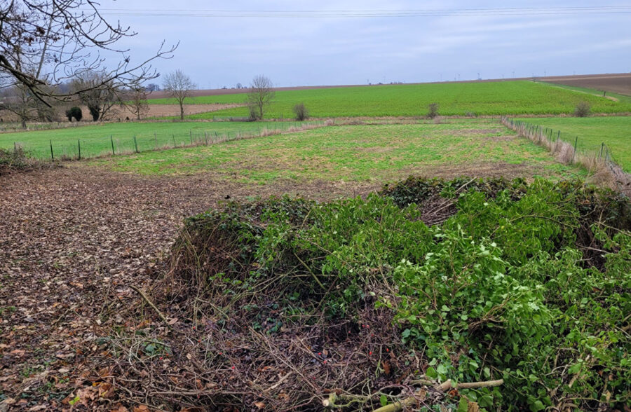Maison Cattenieres 6 pièce(s) 135 m2
