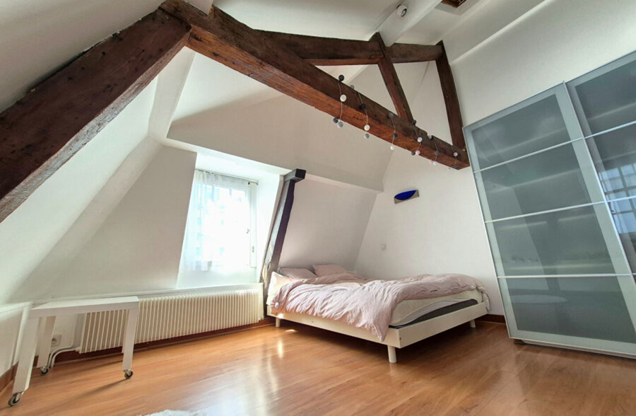 LILLE HYPERCENTRE : SUPERBE T2 LUMINEUX EN DUPLEX AVEC CACHET 40,66M² (47,17M² AU SOL)