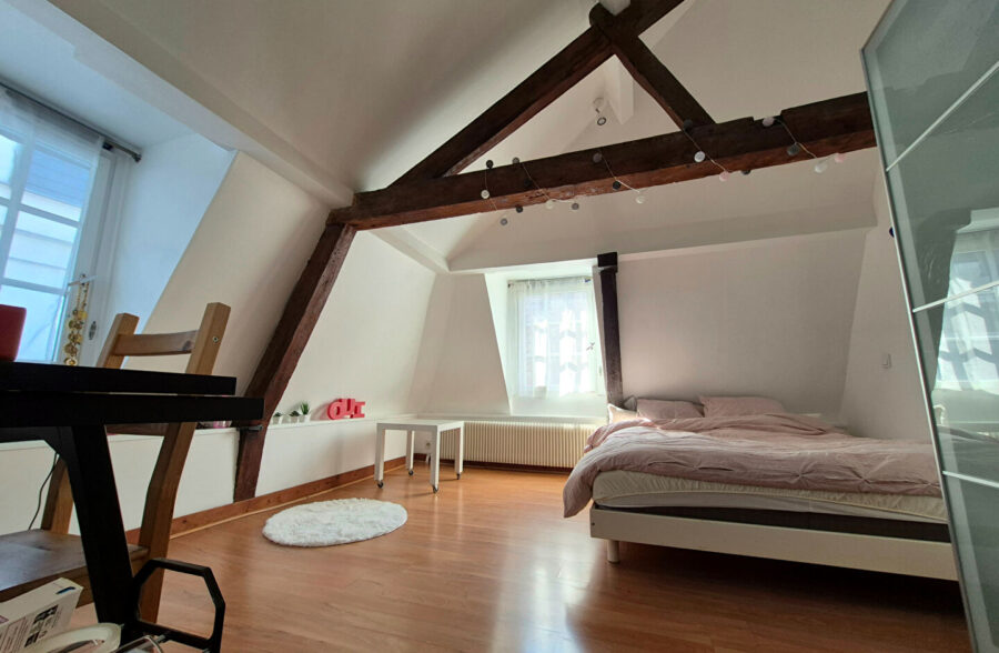 LILLE HYPERCENTRE : SUPERBE T2 LUMINEUX EN DUPLEX AVEC CACHET 40,66M² (47,17M² AU SOL)