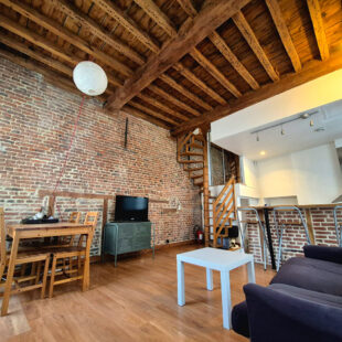 LILLE HYPERCENTRE : SUPERBE T2 LUMINEUX EN DUPLEX AVEC CACHET 40,66M² (47,17M² AU SOL)